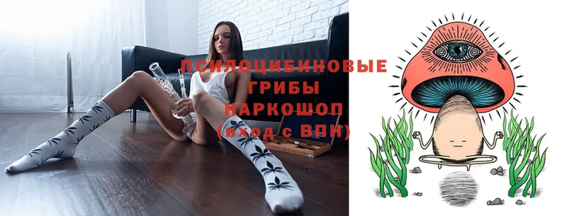 Псилоцибиновые грибы Psilocybe  МЕГА ССЫЛКА  Вельск 